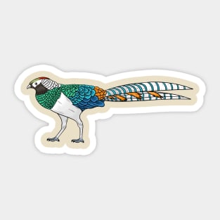 Lady amherst's pheasant bird cartoon illustration Sticker